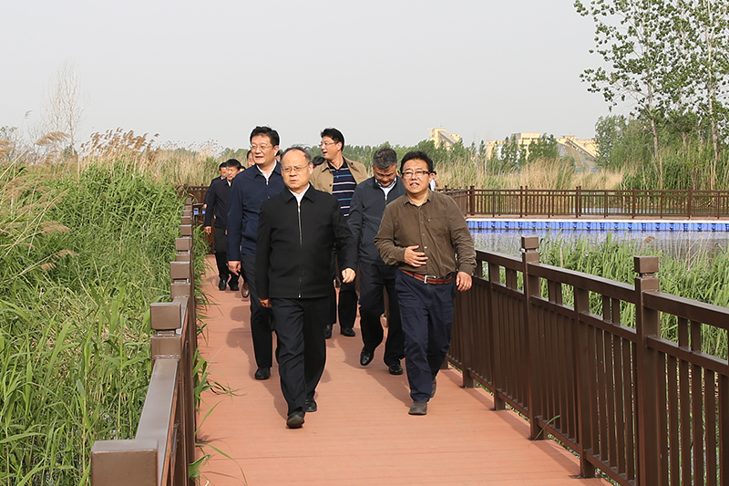 1620367512144128.jpg HW6A0951-800.jpg