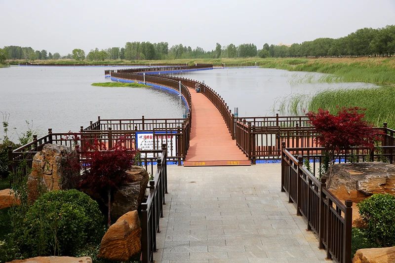 1622624063155132.jpg 3.jpg