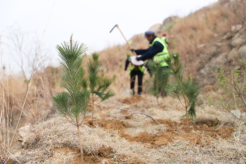 1712464383827494.jpg IMG_4759 拷貝.jpg